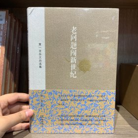 黄一龙杂文自选集：老问题闯新世纪