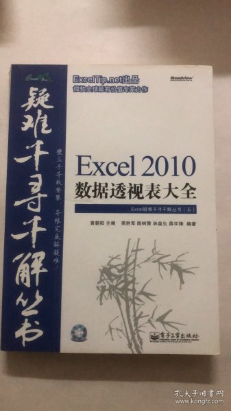 Excel 2010数据透视表大全