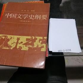 中国文学史纲要（四）