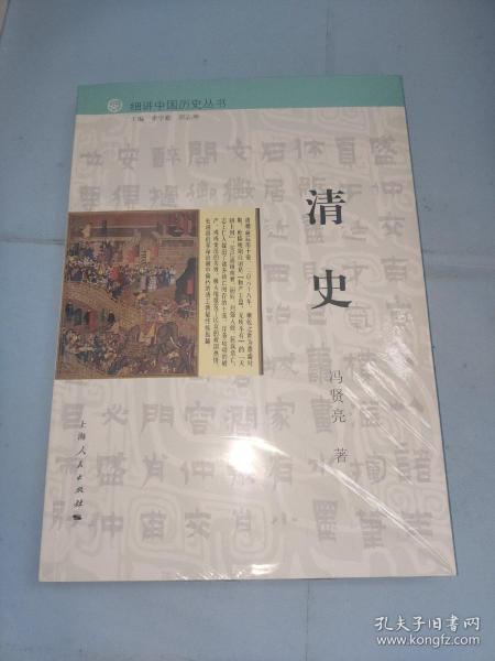 细讲中国历史丛书·清史
