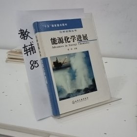 能源化学进展