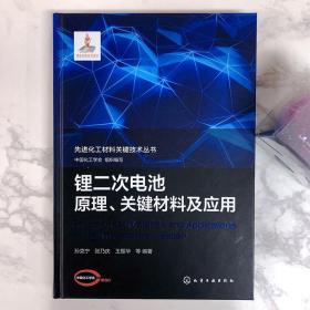 先进化工材料关键技术丛书--锂二次电池原理、关键材料及应用