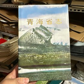 青海省志·文化艺术志 （1版1印，小16开精装本，有书衣，9品定价65元）