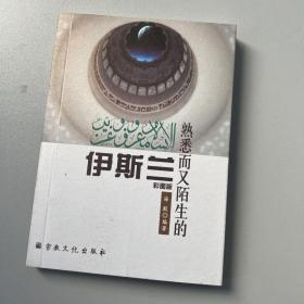 熟悉而又陌生的伊斯兰 彩图版