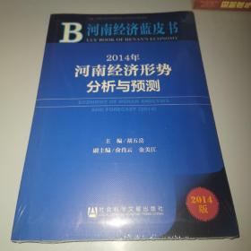 河南经济蓝皮书:2014年河南经济形势分析与预测（全新未拆封）