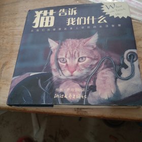 猫告诉我们什么