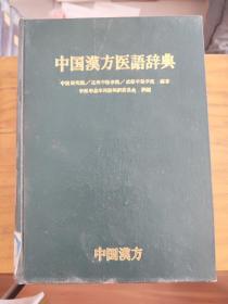 中国汉方医语辞典