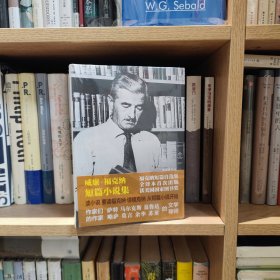 威廉·福克纳短篇小说集（精装版全两册）