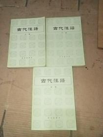 古代汉语（上中下三册全）