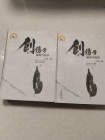 创伤学基础与临床（下册）