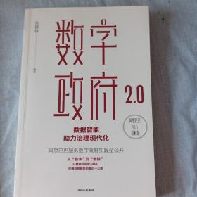 数字政府2.0：数据智能助力治理现代化