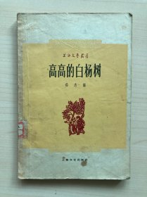 高高的白杨树