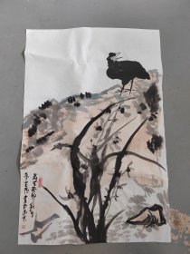 蔡宽畅12