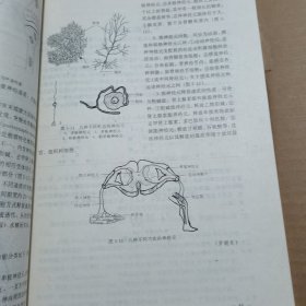 全国医学专科学校教材·供临床医学专业用：组织学和胚胎学