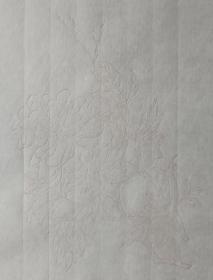 朵云轩 木版水印仿古名笺《朵云诗笺》明清画笺八种图案每种五页共40页