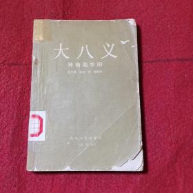 大八义 神偷赵华阳 1990年8月 一版一印