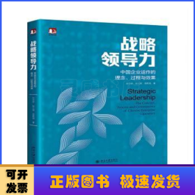 战略领导力：中国企业运作的理念、过程与效果