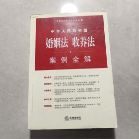 中华人民共和国婚姻法、收养法案例全解