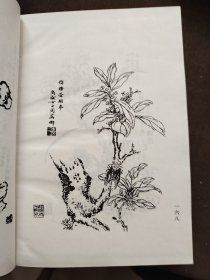 中国传世画谱：马骀画宝上下、人物画稿三千法、三希堂画谱梅谱兰谱、人物、仕女 翎毛花卉、草虫 花卉 石谱、芥子园画传、画学简明、画家三味、中国传世画谱 点石斋丛画（上下）、 诗画舫（上下）（14本）