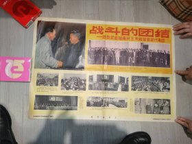 战斗的团结