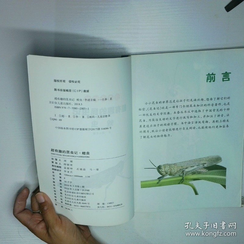 超有趣的昆虫记蝗虫