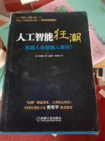 人工智能狂潮：机器人会超越人类吗？（二手）