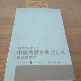 制度与能力：中国民营企业20年成长的解析