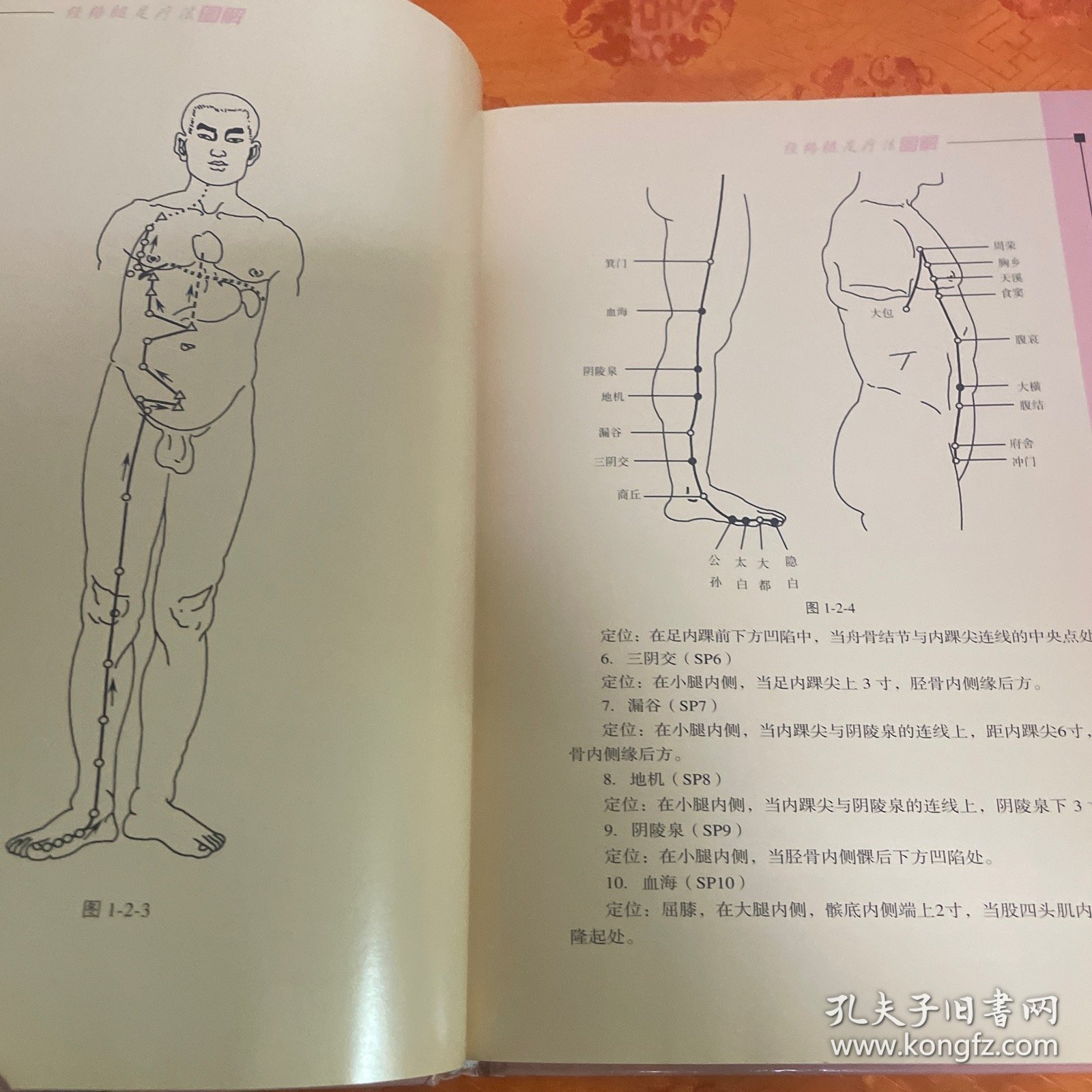 经络腿足疗法图解