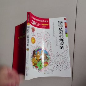 彩绘版钢铁是怎样炼成的