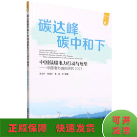 中國(guó)電力減排研究2021:碳達(dá)峰碳中和下中國(guó)低碳電力行動(dòng)與展望