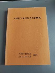 大理县下关市知青工作概况