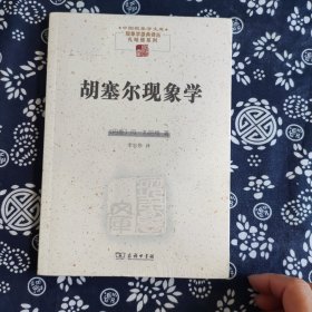 胡塞尔现象学(中国现象学文库)