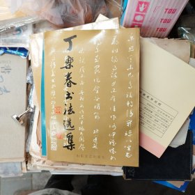 丁乐春书法选集