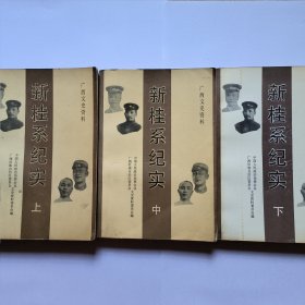 新桂系纪实 包邮