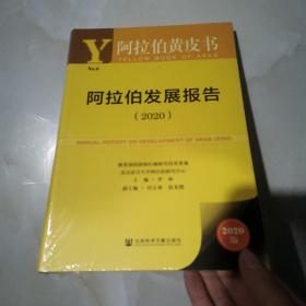 阿拉伯黄皮书：阿拉伯发展报告（2020）