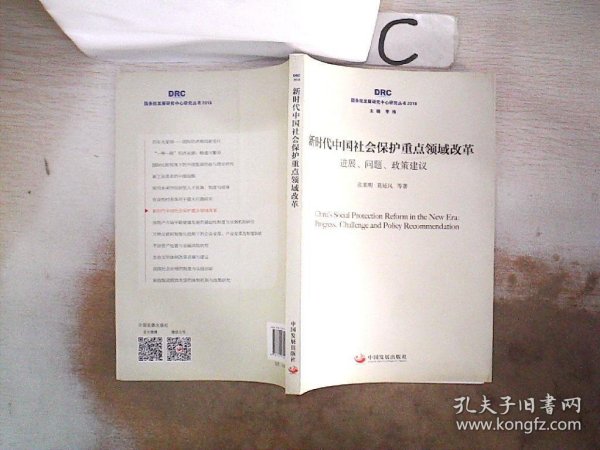 新时代中国社会保护重点领域改革：进展、问题、政策建议（国务院发展研究中心研究丛书2018）