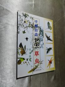 国画训练新编系列：千姿百态画草虫