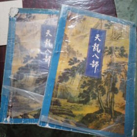 天龙八部（二、五）