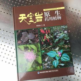 天宝岩原生药用植物