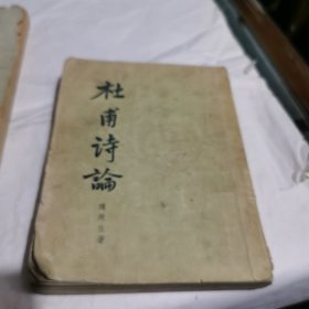 杜甫诗论