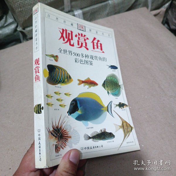 观赏鱼：全世界500多种观赏鱼的彩色图鉴