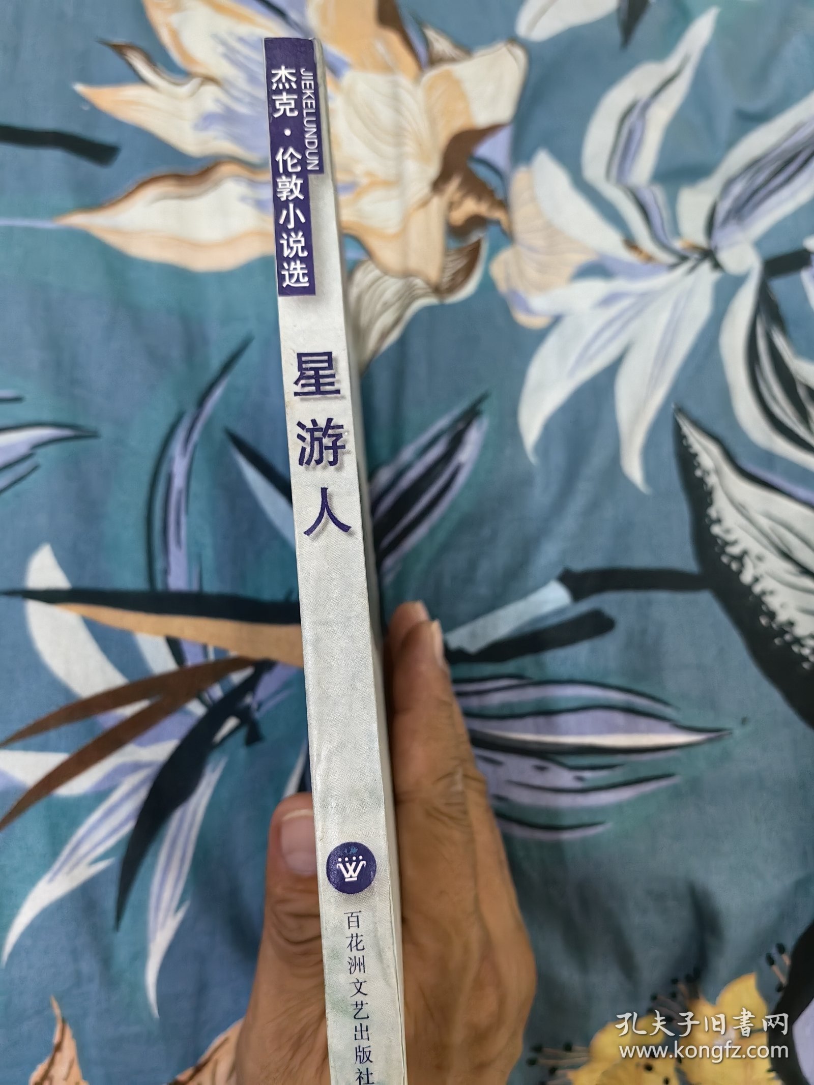 星游人（杰克 伦敦小说选）