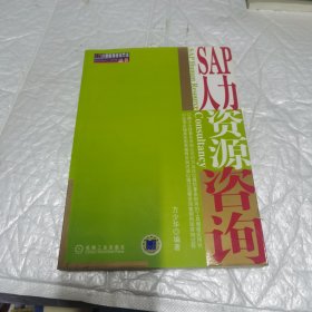 SAP人力资源咨询 内页工整无字迹