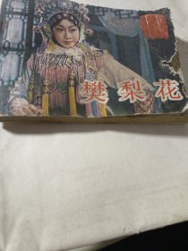 电影连环画，樊梨花，