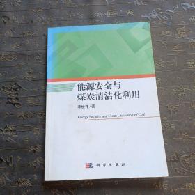 能源安全与煤炭清洁化利用