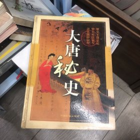 大唐秘史 (三）