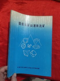 铅锌汞矿山地质找矿 （16开）