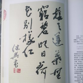 萍踪感悟 王继兴随笔摄影书法艺术 王继兴签名本 大16开 精装本