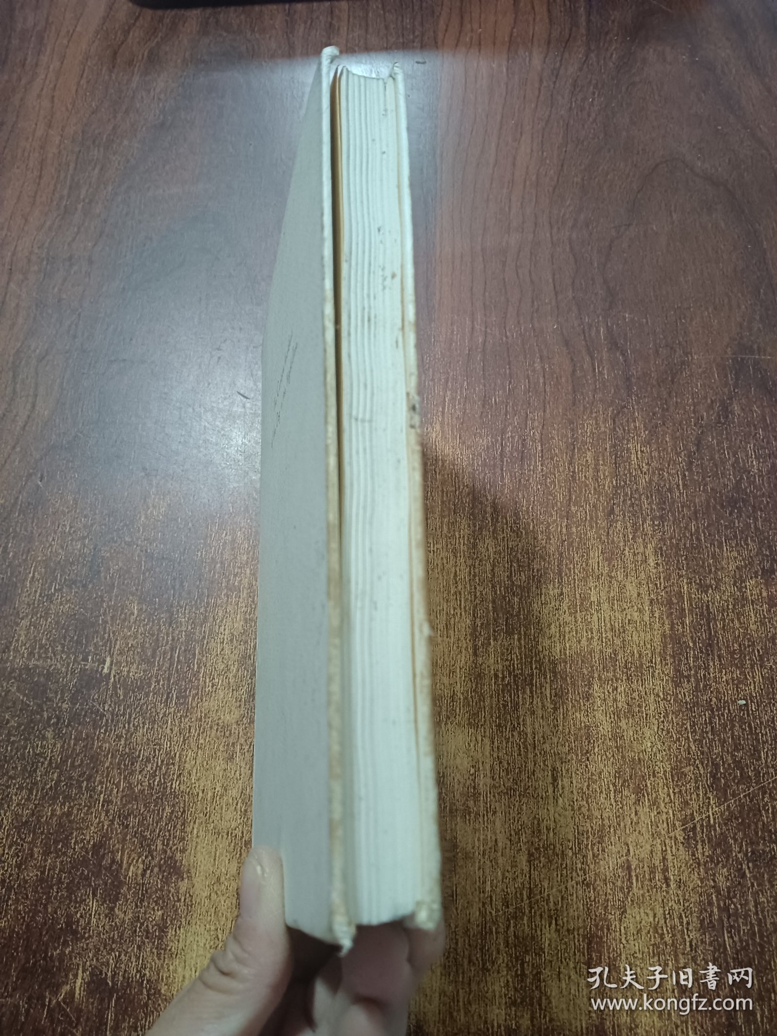 深夜小狗神秘事件