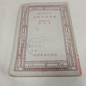 民国新中学文库彌蓋郎琪羅傳（弥盖朗琪罗传）